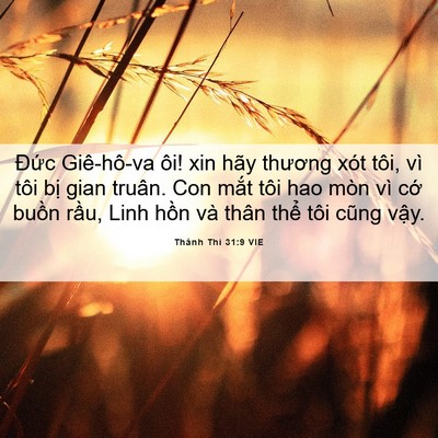 Picture 06 - Thánh Thi 31:9 VIE - Đức Giê-hô-va ôi! xin hãy thương xót - Bible Verse Picture