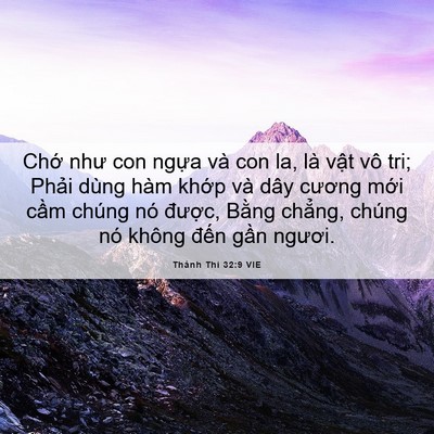Picture 06 - Thánh Thi 32:9 VIE - Chớ như con ngựa và con la, là vật vô - Bible Verse Picture