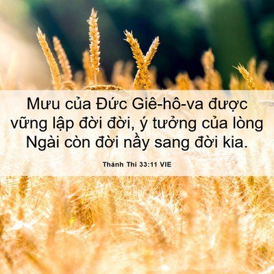 Picture 06 - Thánh Thi 33:11 VIE - Mưu của Đức Giê-hô-va được vững - Bible Verse Picture