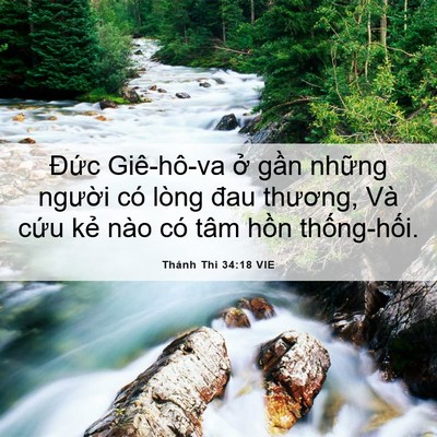 Picture 06 - Thánh Thi 34:18 VIE - Đức Giê-hô-va ở gần những người có - Bible Verse Picture
