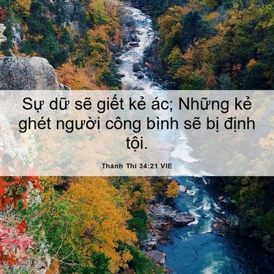 Picture 06 - Thánh Thi 34:21 VIE - Sự dữ sẽ giết kẻ ác; Những kẻ - Bible Verse Picture