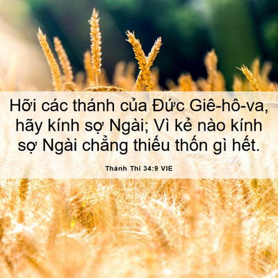 Picture 06 - Thánh Thi 34:9 VIE - Hỡi các thánh của Đức Giê-hô-va, hãy - Bible Verse Picture
