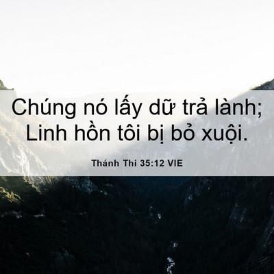 Picture 06 - Thánh Thi 35:12 VIE - Chúng nó lấy dữ trả lành; Linh hồn - Bible Verse Picture