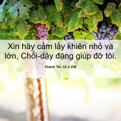 Picture 06 - Thánh Thi 35:2 VIE - Xin hãy cầm lấy khiên nhỏ và lớn, - Bible Verse Picture