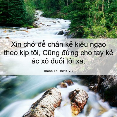 Picture 06 - Thánh Thi 36:11 VIE - Xin chớ để chân kẻ kiêu ngạo theo - Bible Verse Picture