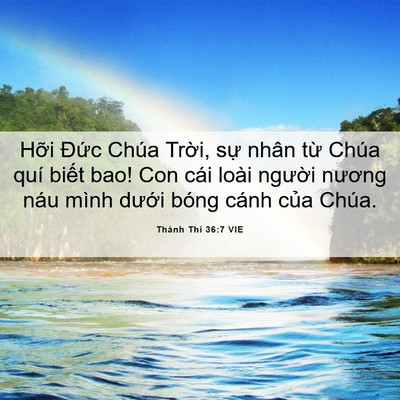 Picture 06 - Thánh Thi 36:7 VIE - Hỡi Đức Chúa Trời, sự nhân từ Chúa - Bible Verse Picture