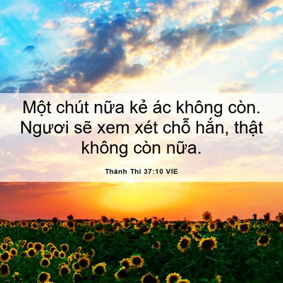 Picture 06 - Thánh Thi 37:10 VIE - Một chút nữa kẻ ác không còn. Ngươi - Bible Verse Picture
