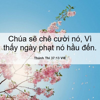 Picture 06 - Thánh Thi 37:13 VIE - Chúa sẽ chê cười nó, Vì thấy ngày - Bible Verse Picture