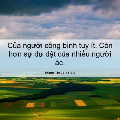 Picture 06 - Thánh Thi 37:16 VIE - Của người công bình tuy ít, Còn hơn - Bible Verse Picture