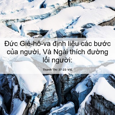 Picture 06 - Thánh Thi 37:23 VIE - Đức Giê-hô-va định liệu các bước - Bible Verse Picture