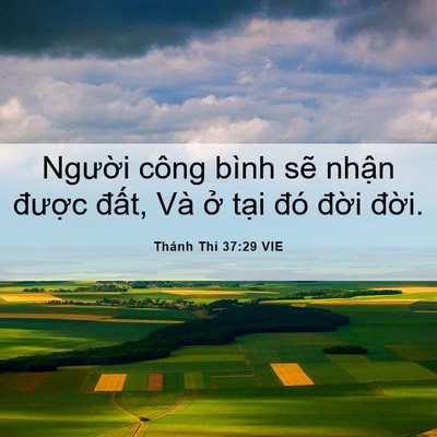 Picture 06 - Thánh Thi 37:29 VIE - Người công bình sẽ nhận được đất, - Bible Verse Picture