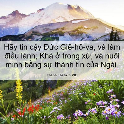 Picture 06 - Thánh Thi 37:3 VIE - Hãy tin cậy Đức Giê-hô-va, và làm - Bible Verse Picture