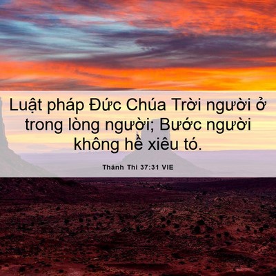 Picture 06 - Thánh Thi 37:31 VIE - Luật pháp Đức Chúa Trời người ở - Bible Verse Picture