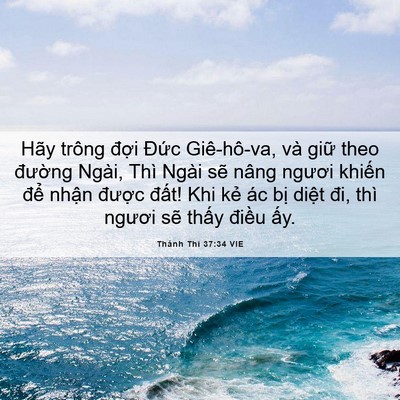 Picture 06 - Thánh Thi 37:34 VIE - Hãy trông đợi Đức Giê-hô-va, và giữ - Bible Verse Picture