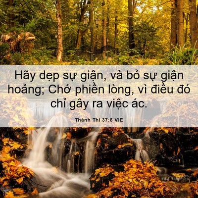 Picture 06 - Thánh Thi 37:8 VIE - Hãy dẹp sự giận, và bỏ sự giận - Bible Verse Picture