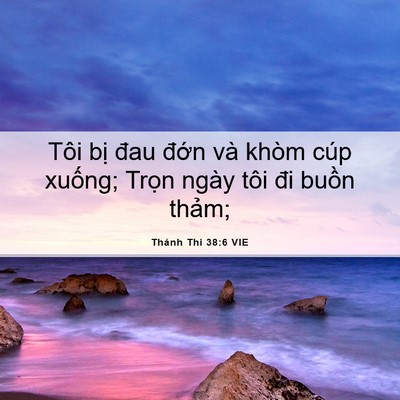 Picture 06 - Thánh Thi 38:6 VIE - Tôi bị đau đớn và khòm cúp xuống; - Bible Verse Picture