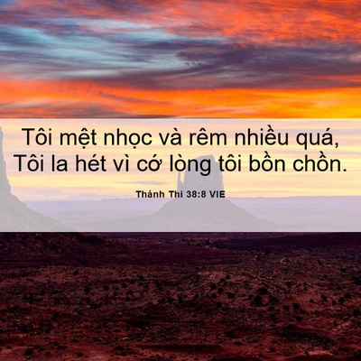 Picture 06 - Thánh Thi 38:8 VIE - Tôi mệt nhọc và rêm nhiều quá, Tôi la - Bible Verse Picture