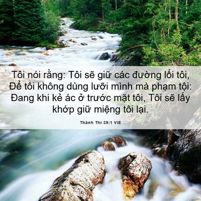 Picture 06 - Thánh Thi 39:1 VIE - Tôi nói rằng: Tôi sẽ giữ các đường - Bible Verse Picture