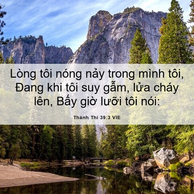 Picture 06 - Thánh Thi 39:3 VIE - Lòng tôi nóng nảy trong mình tôi, Đang - Bible Verse Picture