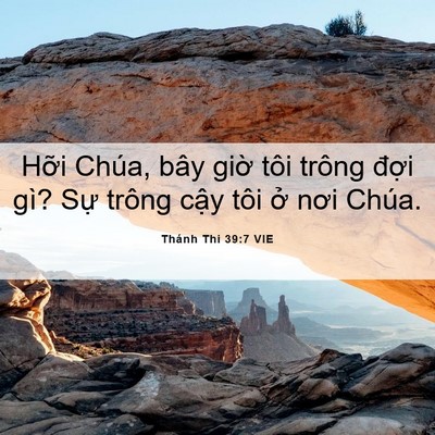 Picture 06 - Thánh Thi 39:7 VIE - Hỡi Chúa, bây giờ tôi trông đợi gì? - Bible Verse Picture