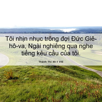 Picture 06 - Thánh Thi 40:1 VIE - Tôi nhịn nhục trông đợi Đức - Bible Verse Picture