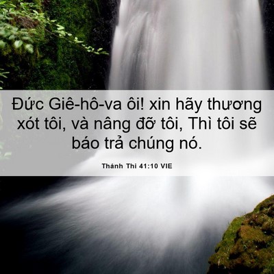 Picture 06 - Thánh Thi 41:10 VIE - Đức Giê-hô-va ôi! xin hãy thương xót - Bible Verse Picture