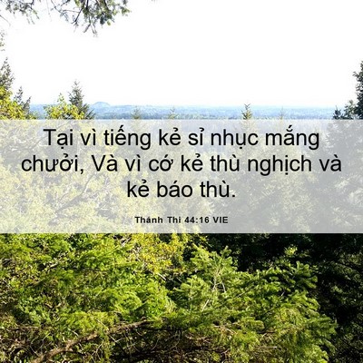 Picture 06 - Thánh Thi 44:16 VIE - Tại vì tiếng kẻ sỉ nhục mắng - Bible Verse Picture