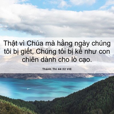Picture 06 - Thánh Thi 44:22 VIE - Thật vì Chúa mà hằng ngày chúng tôi - Bible Verse Picture