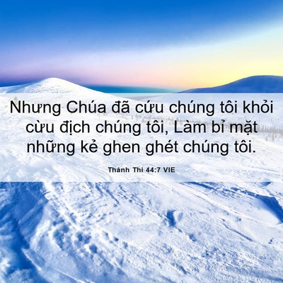 Picture 06 - Thánh Thi 44:7 VIE - Nhưng Chúa đã cứu chúng tôi khỏi cừu - Bible Verse Picture