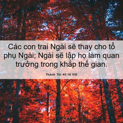 Picture 06 - Thánh Thi 45:16 VIE - Các con trai Ngài sẽ thay cho tổ phụ - Bible Verse Picture