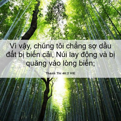 Picture 06 - Thánh Thi 46:2 VIE - Vì vậy, chúng tôi chẳng sợ dầu đất - Bible Verse Picture