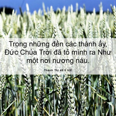 Picture 06 - Thánh Thi 48:3 VIE - Trong những đền các thành ấy, Đức - Bible Verse Picture