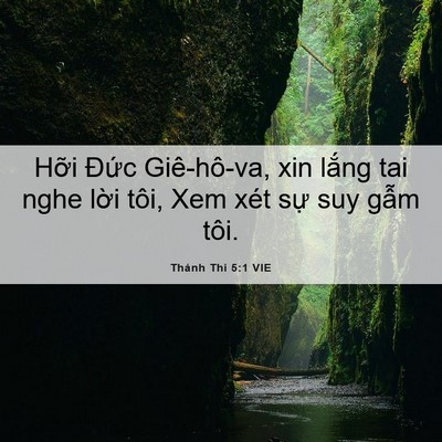 Picture 06 - Thánh Thi 5:1 VIE - Hỡi Đức Giê-hô-va, xin lắng tai nghe - Bible Verse Picture