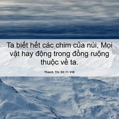 Picture 06 - Thánh Thi 50:11 VIE - Ta biết hết các chim của núi, Mọi vật - Bible Verse Picture