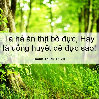 Picture 06 - Thánh Thi 50:13 VIE - Ta há ăn thịt bò đực, Hay là uống - Bible Verse Picture