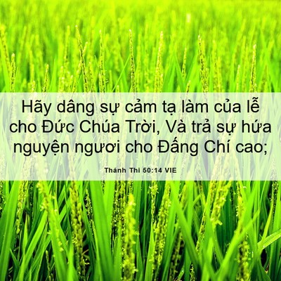 Picture 06 - Thánh Thi 50:14 VIE - Hãy dâng sự cảm tạ làm của lễ cho - Bible Verse Picture