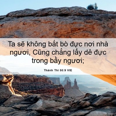 Picture 06 - Thánh Thi 50:9 VIE - Ta sẽ không bắt bò đực nơi nhà - Bible Verse Picture