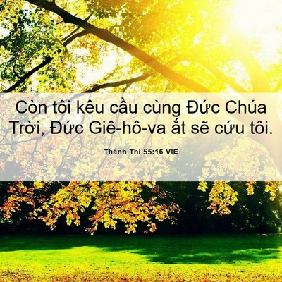 Picture 06 - Thánh Thi 55:16 VIE - Còn tôi kêu cầu cùng Đức Chúa Trời, - Bible Verse Picture