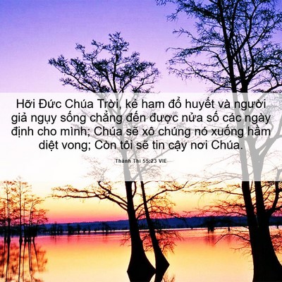 Picture 06 - Thánh Thi 55:23 VIE - Hỡi Đức Chúa Trời, kẻ ham đổ huyết - Bible Verse Picture