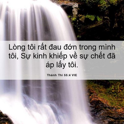 Picture 06 - Thánh Thi 55:4 VIE - Lòng tôi rất đau đớn trong mình tôi, - Bible Verse Picture
