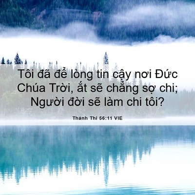 Picture 06 - Thánh Thi 56:11 VIE - Tôi đã để lòng tin cậy nơi Đức Chúa - Bible Verse Picture