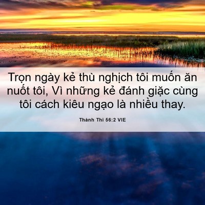 Picture 06 - Thánh Thi 56:2 VIE - Trọn ngày kẻ thù nghịch tôi muốn ăn - Bible Verse Picture