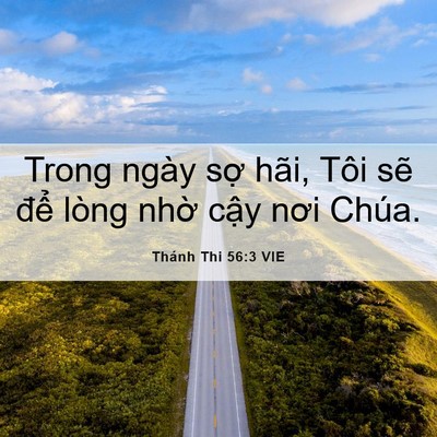 Picture 06 - Thánh Thi 56:3 VIE - Trong ngày sợ hãi, Tôi sẽ để lòng - Bible Verse Picture