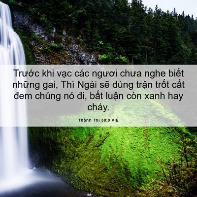 Picture 06 - Thánh Thi 58:9 VIE - Trước khi vạc các ngươi chưa nghe biết - Bible Verse Picture