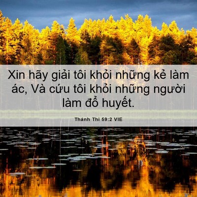 Picture 06 - Thánh Thi 59:2 VIE - Xin hãy giải tôi khỏi những kẻ làm - Bible Verse Picture