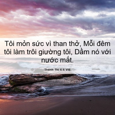 Picture 06 - Thánh Thi 6:6 VIE - Tôi mỏn sức vì than thở, Mỗi đêm tôi - Bible Verse Picture