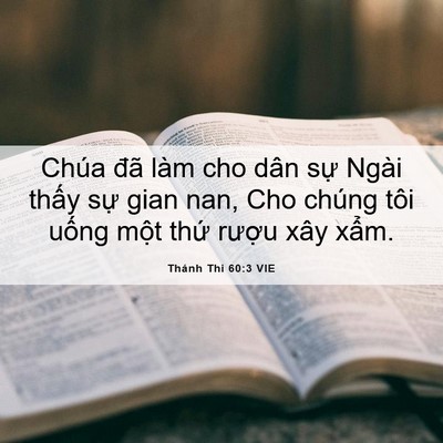 Picture 06 - Thánh Thi 60:3 VIE - Chúa đã làm cho dân sự Ngài thấy sự - Bible Verse Picture