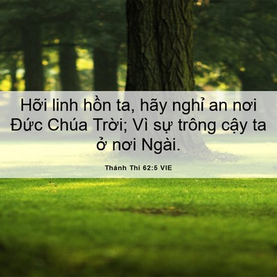 Picture 06 - Thánh Thi 62:5 VIE - Hỡi linh hồn ta, hãy nghỉ an nơi Đức - Bible Verse Picture