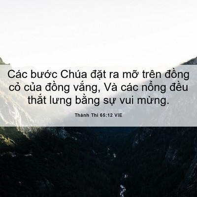 Picture 06 - Thánh Thi 65:12 VIE - Các bước Chúa đặt ra mỡ trên đồng - Bible Verse Picture