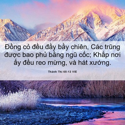 Picture 06 - Thánh Thi 65:13 VIE - Đồng cỏ đều đầy bầy chiên, Các - Bible Verse Picture